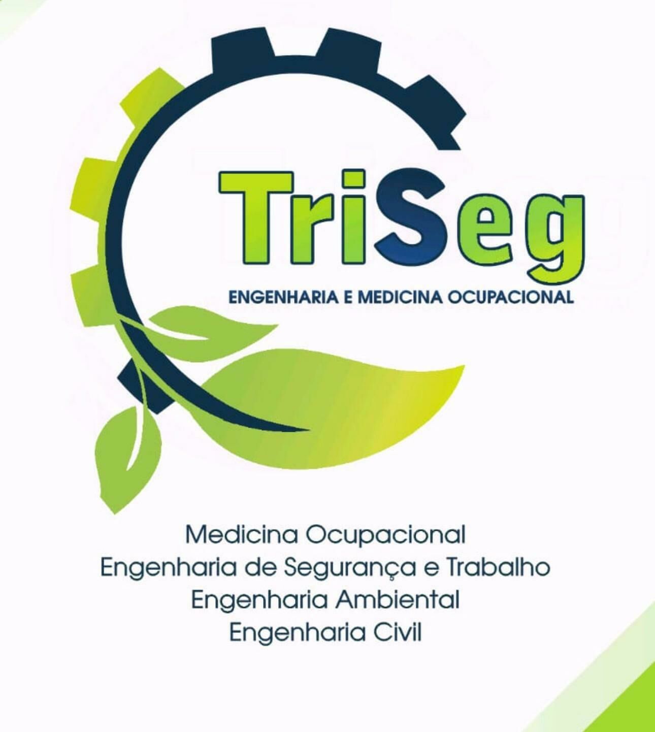 Imagem de compartilhamento para o artigo Sua empresa precisa de laudos técnicos, treinamentos e gestão de SST? Fale com a TriSeg MS da MS Todo dia